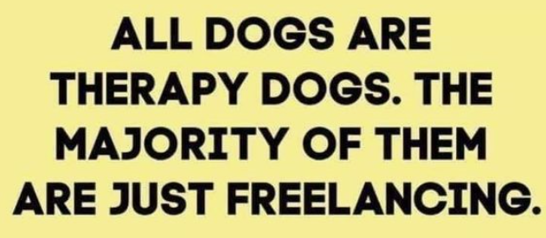 All Dogs Are Therapy Dogs. The Majority of Them Are Just Freelancing.