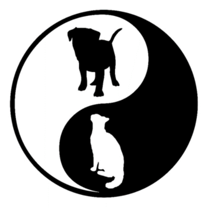 Cat and Dog / Yin-Yang