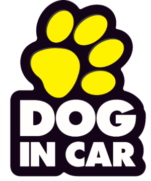 Dog In Car Sign