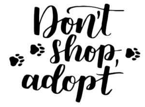 Don’t Shop, Adopt