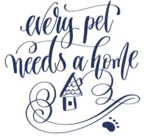 Every Pet Needs a Home
