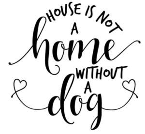 House Is Not A Home Without A Dog