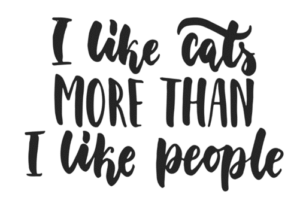 I Like Cats More Than I Like People