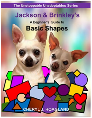 Jackson and Brinkley's Beginners Guide to Shapes