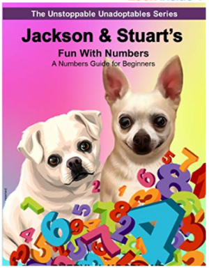 Jackson and Stuart's Fun With Numbers