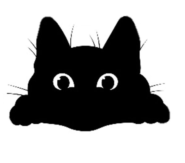 Kitten Peek-A-Boo Head