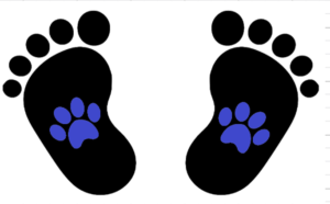 Paw and Infant/Baby Footprints (Boy)